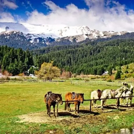 Gomfoi - Smart Town Daire *