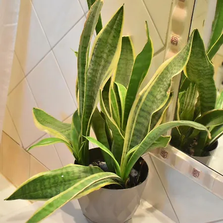 Gomfoi - Smart Town Apartamento *