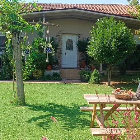 Gomfoi - Smart Town Tríkala