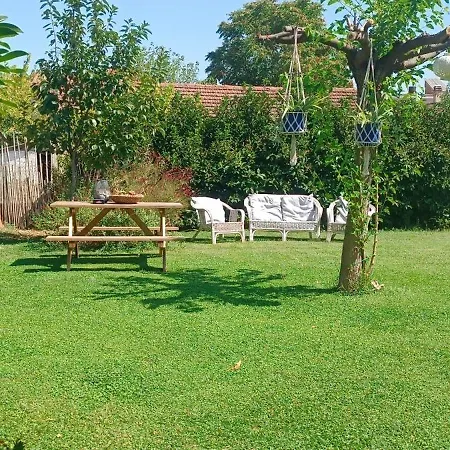 Gomfoi - Smart Town Tríkala