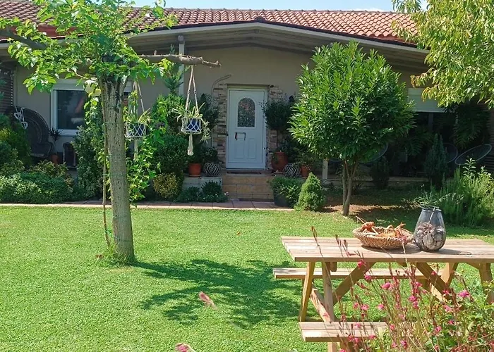 Gomfoi - Smart Town Τρίκαλα