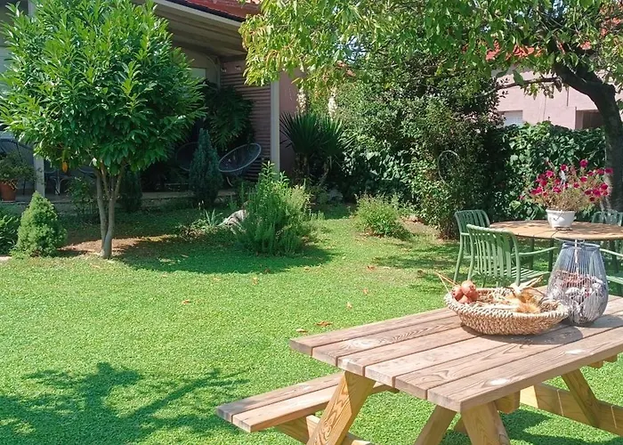 Gomfoi - Smart Town * Τρίκαλα