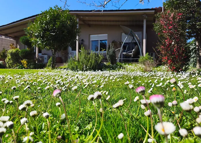 Gomfoi - Smart Town Διαμέρισμα